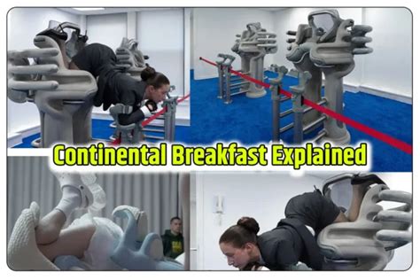 continental breakfast chair explained|The Continental Breakfast Chair: Exploring the。